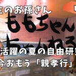 昭和生まれが思う、小学生の自由研究と「親孝行」ももちゃんちゃんねる 82回