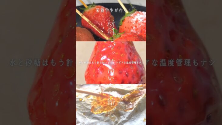 【栄養学生】砂糖不使用。材料ひとつの簡単いちご飴。#簡単レシピ #いちご #strawberry #food #asmr #いちご飴 #candy #shorts #自由研究 #おやつ #飯テロ #苺